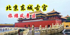 大屌操黑丝美女网站中国北京-东城古宫旅游风景区